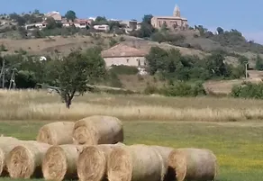 Chambre et Pièce à Vivre Indépendantes - Image 5