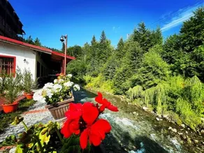Hotel Pin Azuga - Image 3
