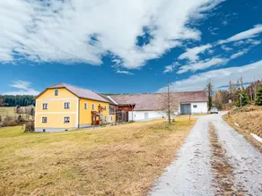 Alluring Holiday Home in Sandl near River - Image 3