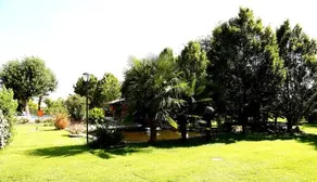 Isola Di Wight - Image 3