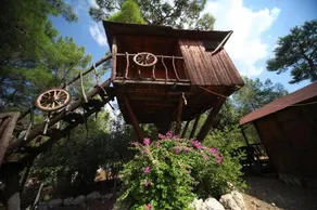 Jungle Bells Hostel - Image 5