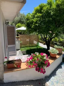 B&B Blanda - Image 5