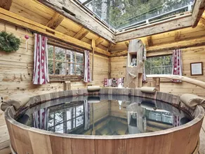 Felsenhutte Modern Retreat - Image 4