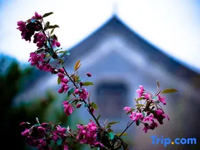 Wenying Hotel - Image 3