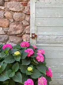 La Bastide - Image 5