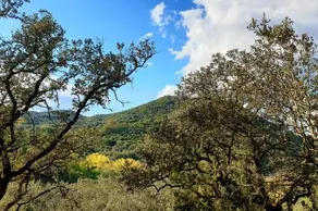 El Refugio De Los Molinos - Image 2