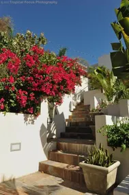 Casa Mare - Image 5