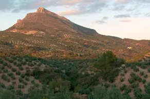 Holiday home Los Esperones - Image 3