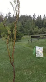 Windsbreath Celebrations and Retreats - Image 3