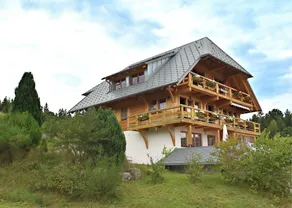 Comfortable Apartment With Large Roof Terrace in Dachsberg-urberg - Image 4