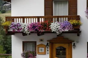 Park Hotel Debra - Image 2