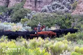 Rockin’ R Ranch - Image 1