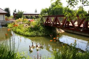 Rybarsky Dvor Pension - Restaurant - Image 4