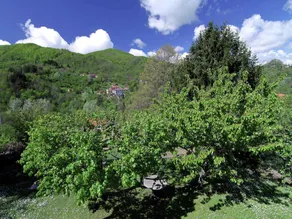 Cozy Holiday Home in Tuscany With Private Garden - Image 2