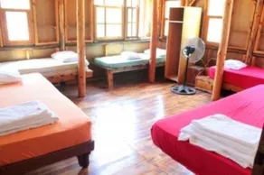Jungle Bells Hostel - Image 4
