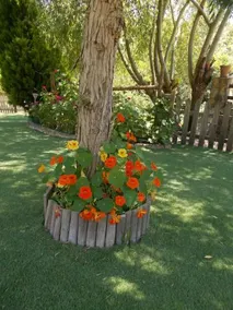 Casa do Rio - Image 3