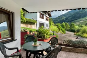 Haus Schindler - Image 3