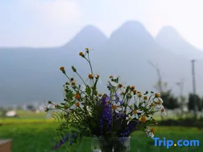 Xingyi WanfengLin jielu Homestay - Image 2