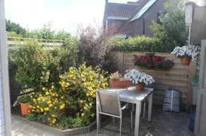 B&B Vanloo - Image 3