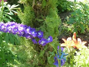B & B La Val - Image 3