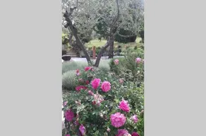 B&B Tre Fanciulli - Image 3