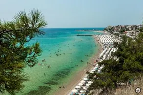 Oneiropagida - Image 2