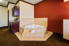 Holiday Inn Express Hotel & Suites Terrell - Image 4
