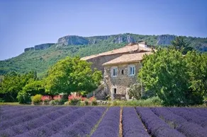 Chez Bacchus - Image 4