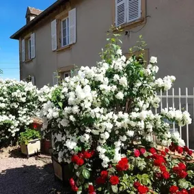 Holiday Home Les Barres - Image 2