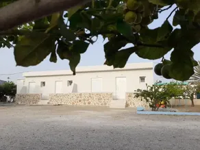 Haralambos Apartments - Image 5