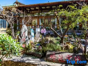 Lijiang Cotton Homestay (Shuhe Ancient Town) - Image 4