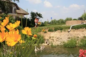 Rybarsky Dvor Pension - Restaurant - Image 3