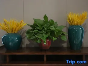 Luliang Jinhai Business Hotel - Image 3