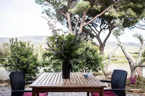 Tenuta Valdelmelo - Image 4