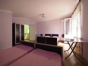 Alfa Shekvetili - Image 5