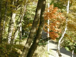 Hayashi Pension - Image 3