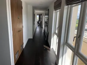 Large luxury Penthouse with free parking garage - Image 5