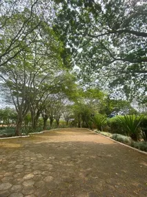Recanto dos Passaros Pousada Guape - Image 5
