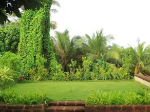 EKO STAY- HORIZON Villa - Image 4