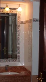 Illicini - Image 3