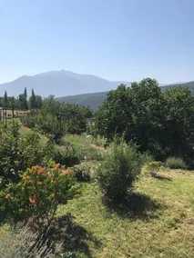 Els Pirineus - Image 2