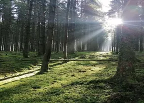 Wellness Retreat in Gedinne - Image 3