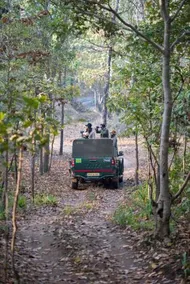 Baghvan Pench National Park - A Taj Safari Lodge - Image 4