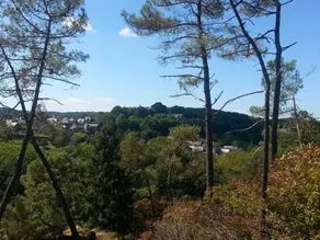Un Weekend a Rochefort en Terre - Image 3