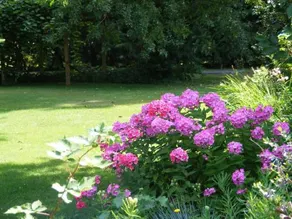 Hummingbird Guesthouse - Image 2