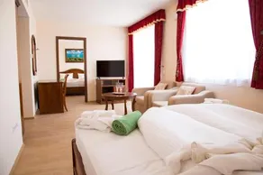 Luxury Spa And Conference Hotel - Image 3
