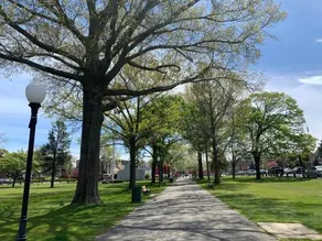 Bright 2 Br, Pets Welcome, Steps to Lake, Restaurants and Train - Image 3