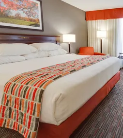 Pear Tree Inn Sikeston - Image 3