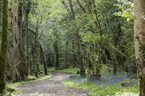Finn Lough - Image 5