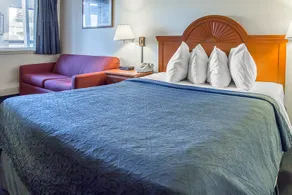 Quality Inn - Image 4